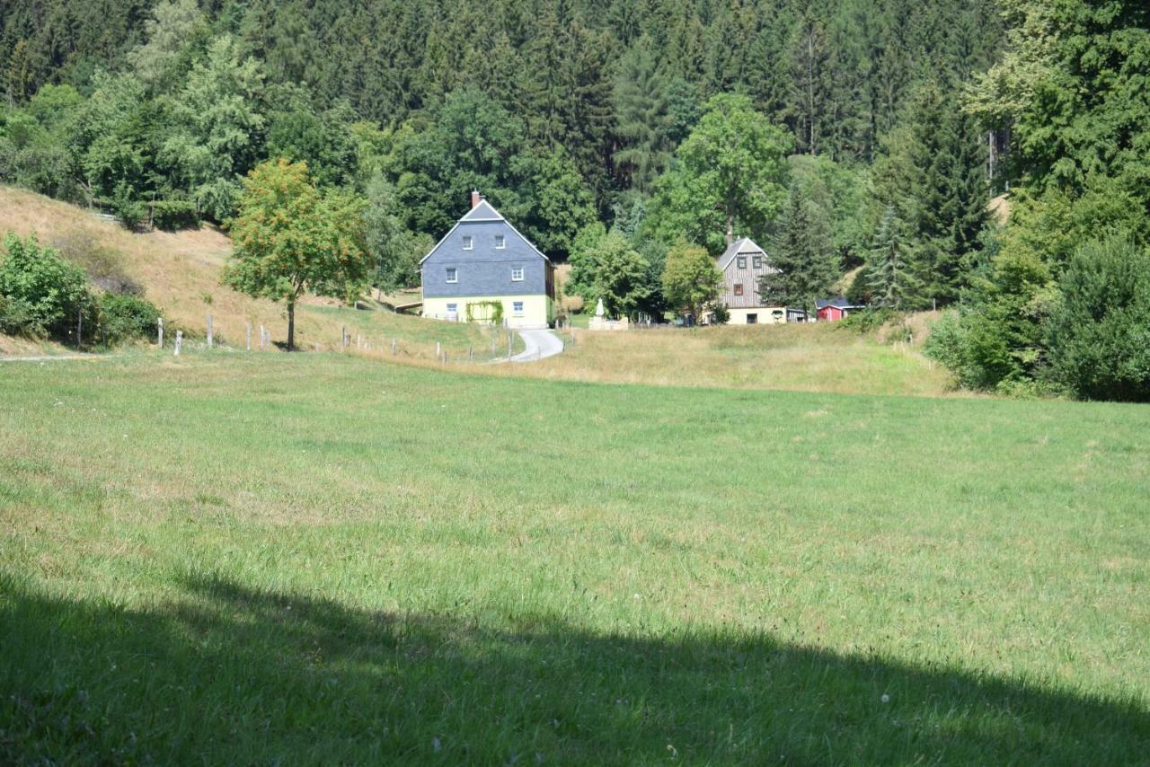 Ferienwohnung Waldmuehle Saupsdorf Exterior photo